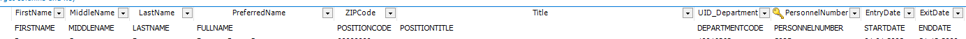 FirstName FIRSTNAME MiddleName MIDDLENAME LastName LASTNAME PreferredName ZIPCode POSITIONCODE Title POSITIONTITLE PersonnelNumber UID_Department DEPARTMENTCODE PERSONNELNUMBER EntryDate STARTDATE 3citDate ENDO ATE 